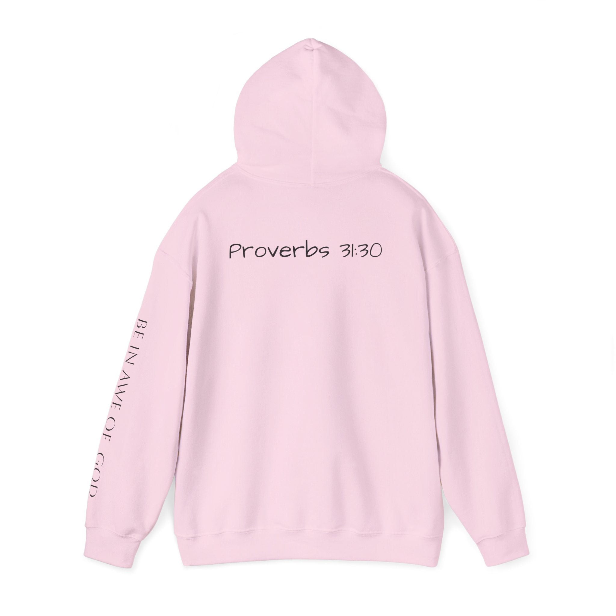 Charm Is Deceptive Hoodie — Proverbs 31:30 Scripture Faith Pullover