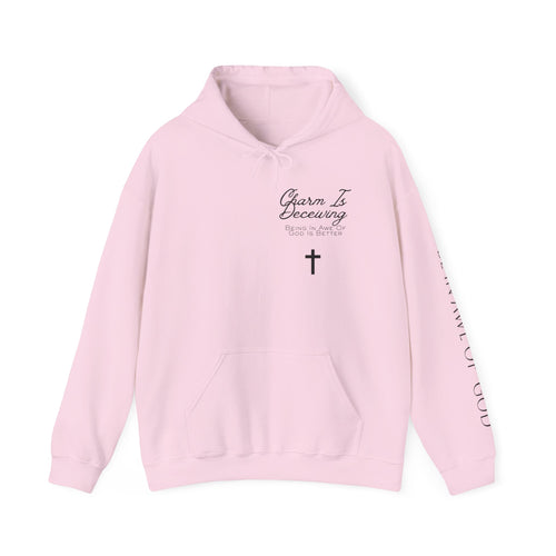 Charm Is Deceptive Hoodie — Proverbs 31:30 Scripture Faith Pullover